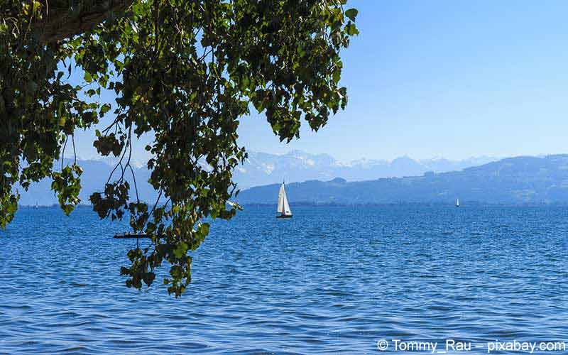 Bodensee Bodensee