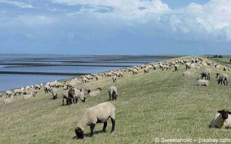 Nordseeküste Nordseeküste